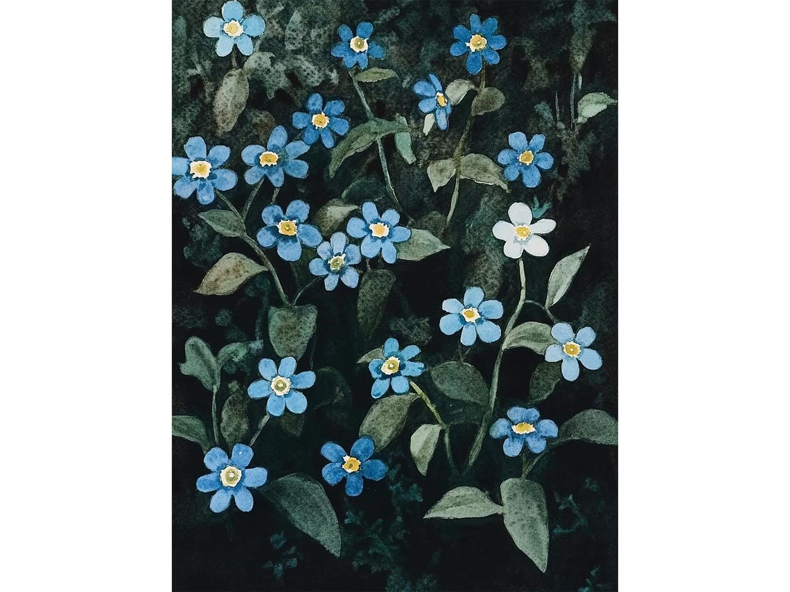 Forget Me Nots Blue Wildflower Watercolor Night Garden Poster