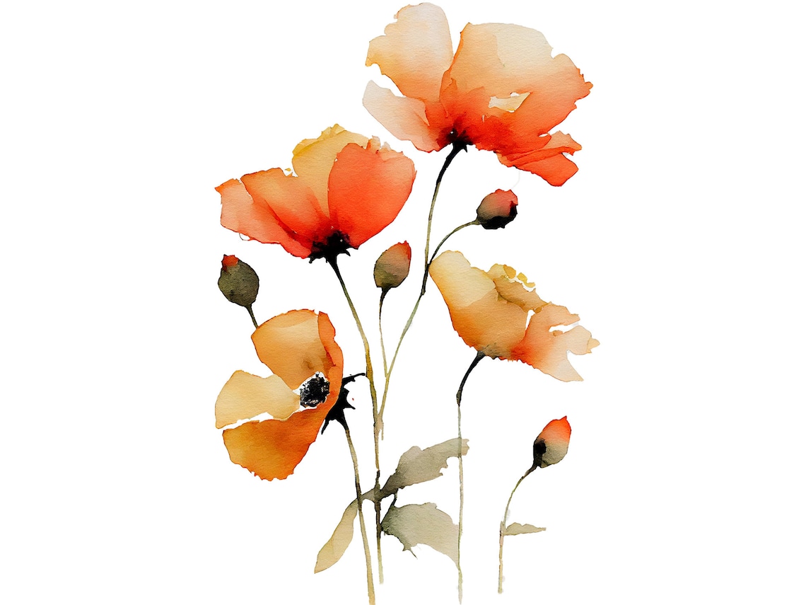 California Poppy Watercolor Art Print, Floral Farmhouse