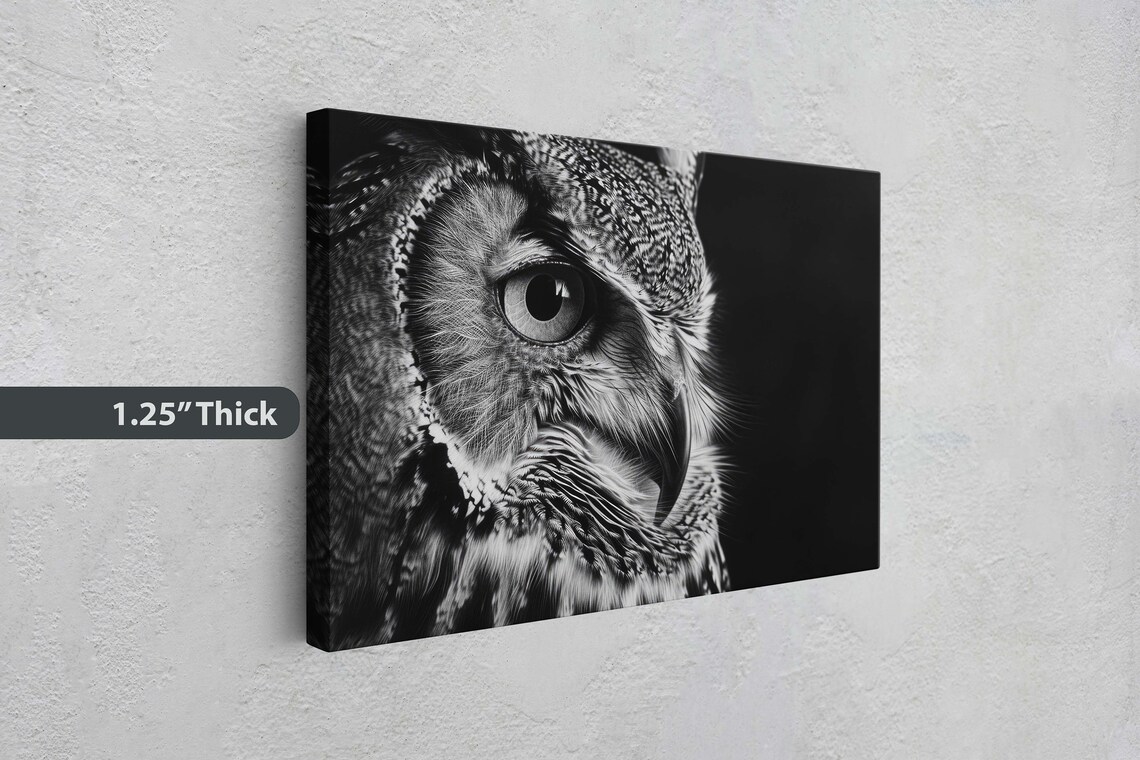 Black and White Owl Photography, Cabin Decor Art Print - Image 3