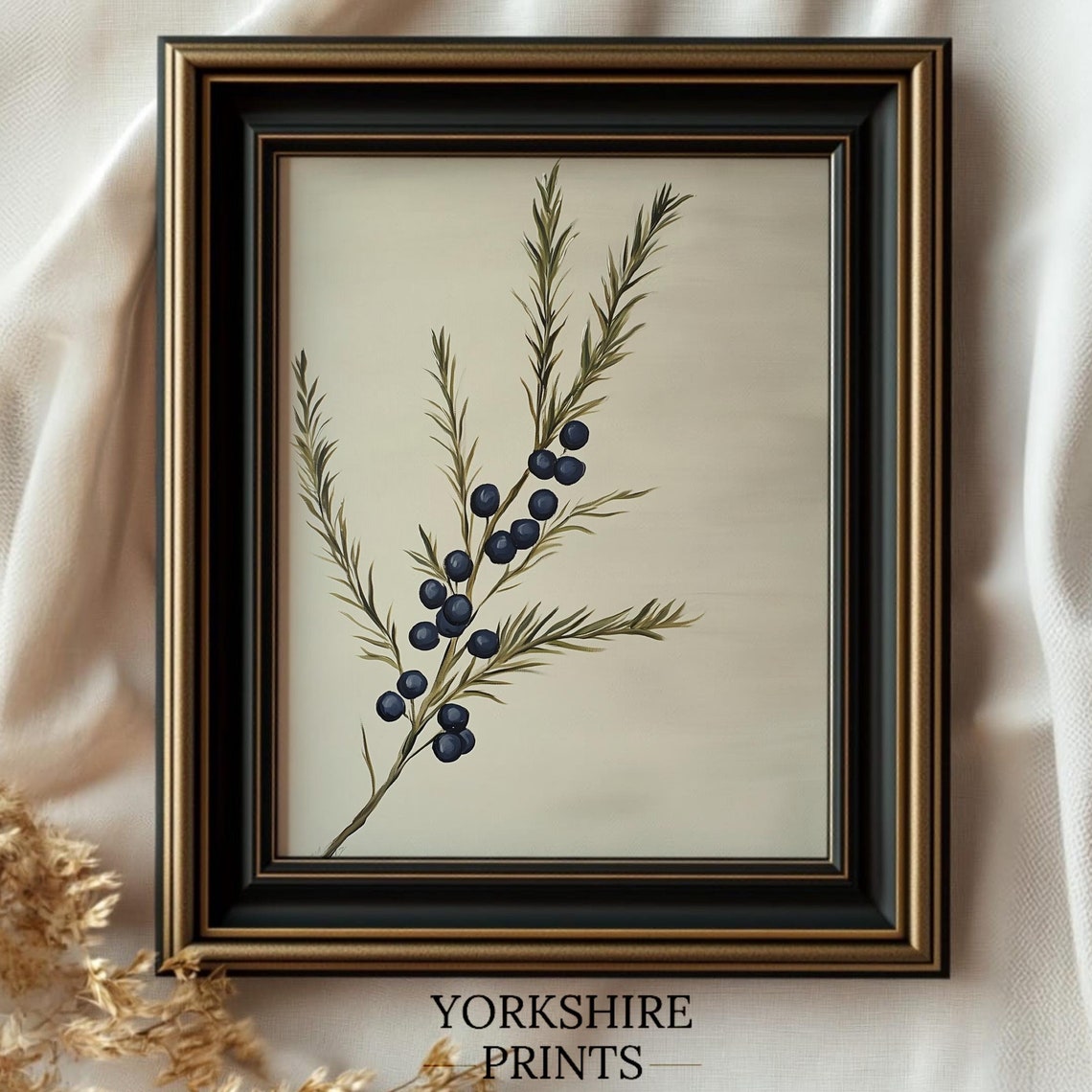 Juniper Branch With Blue Berries Minimal Botanical Illustration Poster