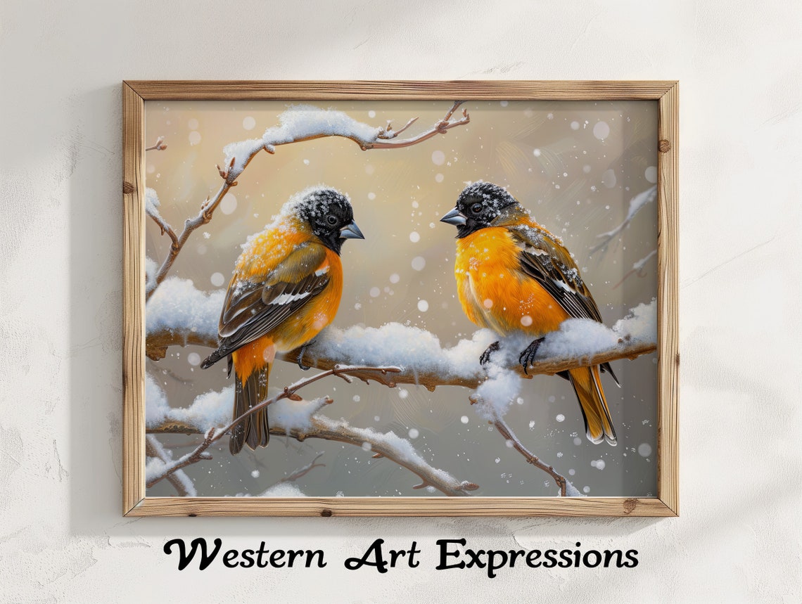 Two Bright Orange Orioles On Snowy Branch In Winter Snowfall Print