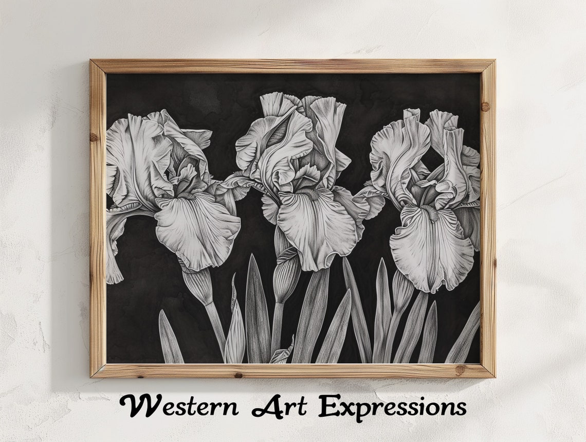 Irises Trio Ink Drawing Black And White Iris Flower Artwork Charcoal Wall Art Floral Botanical Illustration Home Decor