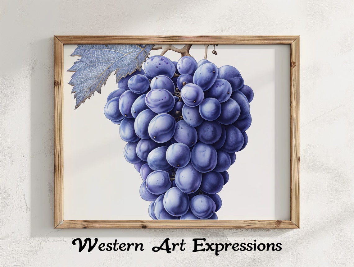 Purple Grapes On Vine Vintage Botanical Illustration Kitchen Poster