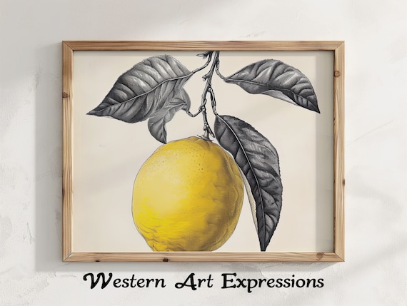 Vintage Lemon Botanical Illustration Yellow Citrus Fruit Poster