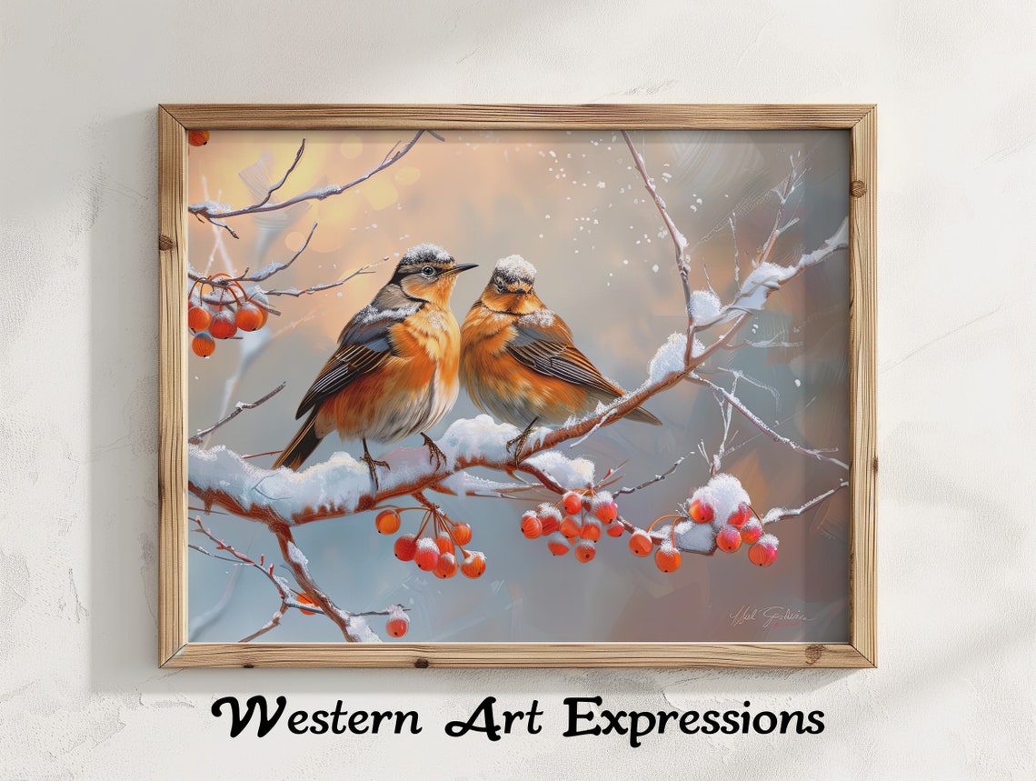 Two Varied Thrush Birds On Snowy Branch With Red Berries Print