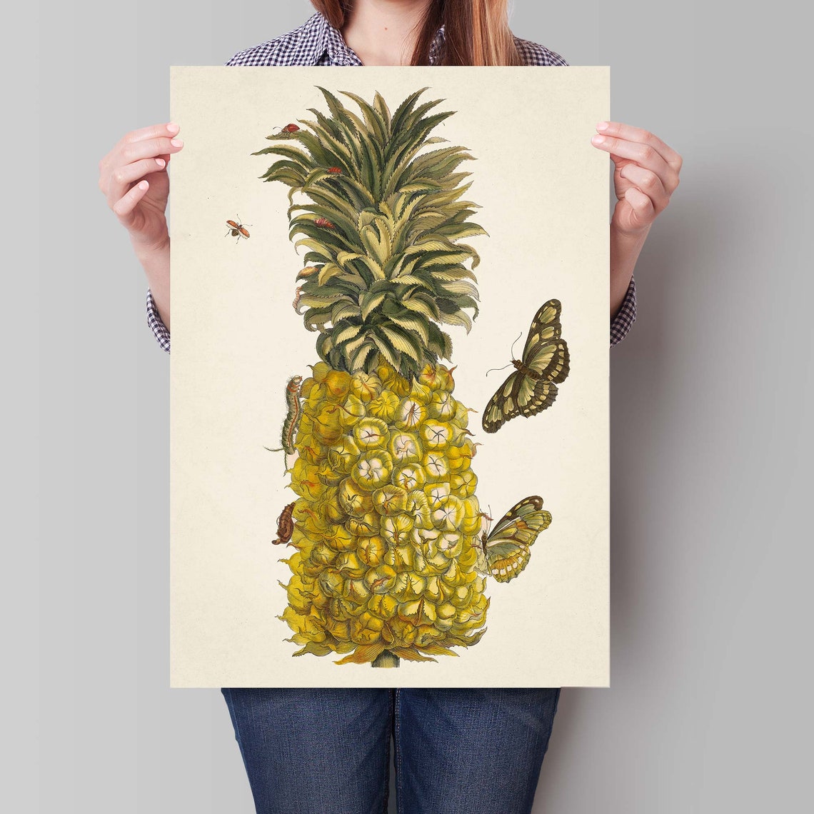 Vintage Pineapple Illustration Antique Tropical Print Botanical Home Decor Fruit Poster - Image 4