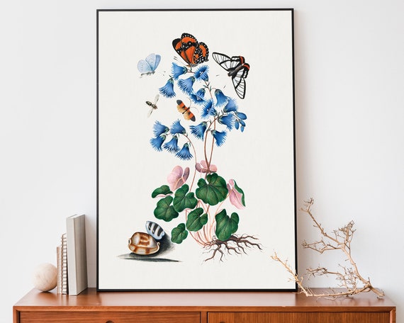 Vintage Wildlife Poster Snail And Butterfly Illustration Art Poster Botanical Wall Art Antique Cottagecore Wall Art