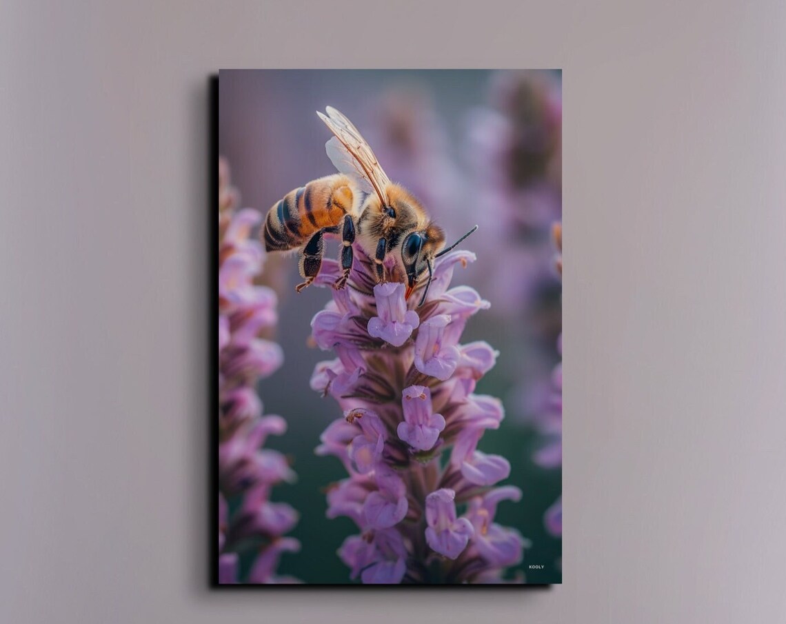 Honey Bee Macro Purple Blossom Pollinating Nature Photo Poster
