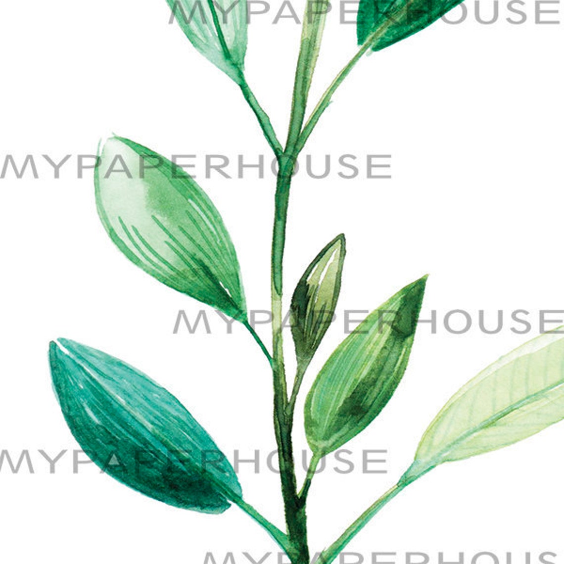 Minimalist Green Watercolor Leaf Sprig Botanical Branch Home Print - Image 2
