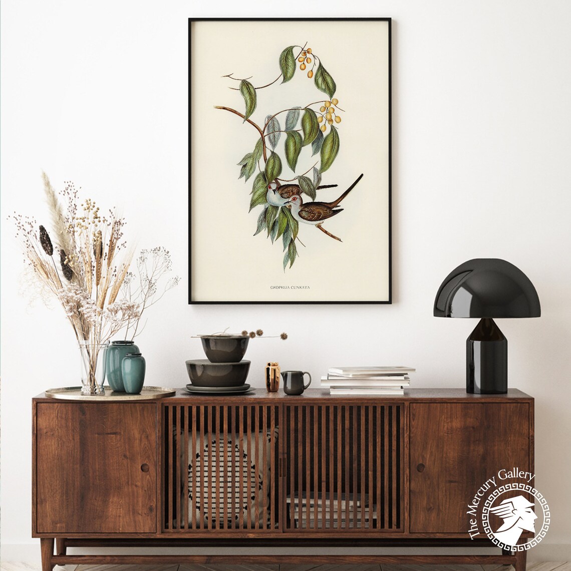 Vintage Diamond Dove Pair Antique Ornithology Bird Illustration Print - Image 6