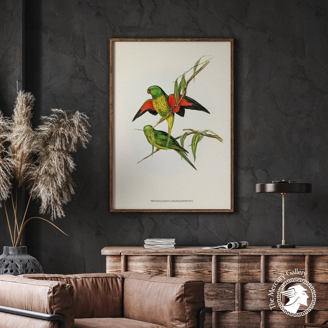 Scaly Breasted Lorikeet Vintage Australian Bird Illustration Print - Image 4