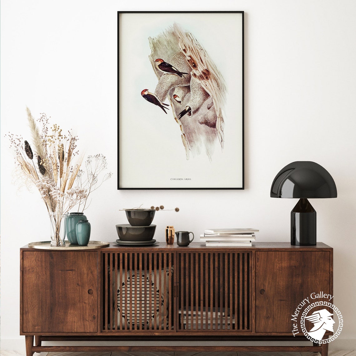 Vintage Fairy Martin Swallows Mud Nest Antique Bird Illustration Art - Image 6
