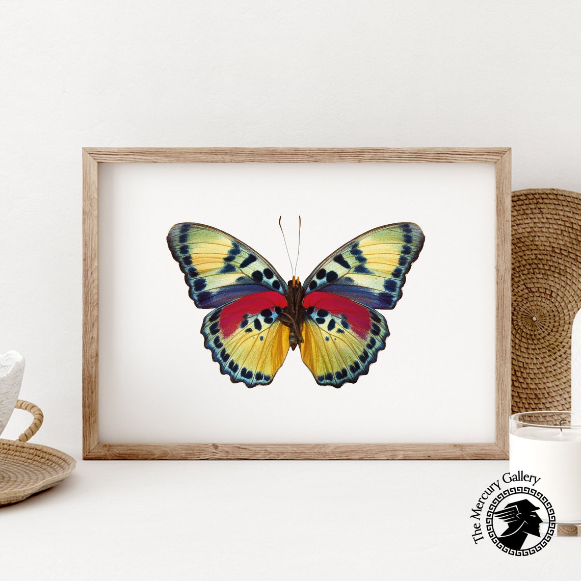 Vintage Butterfly Print Girls Room Prints Butterfly Home Decor - Image 6