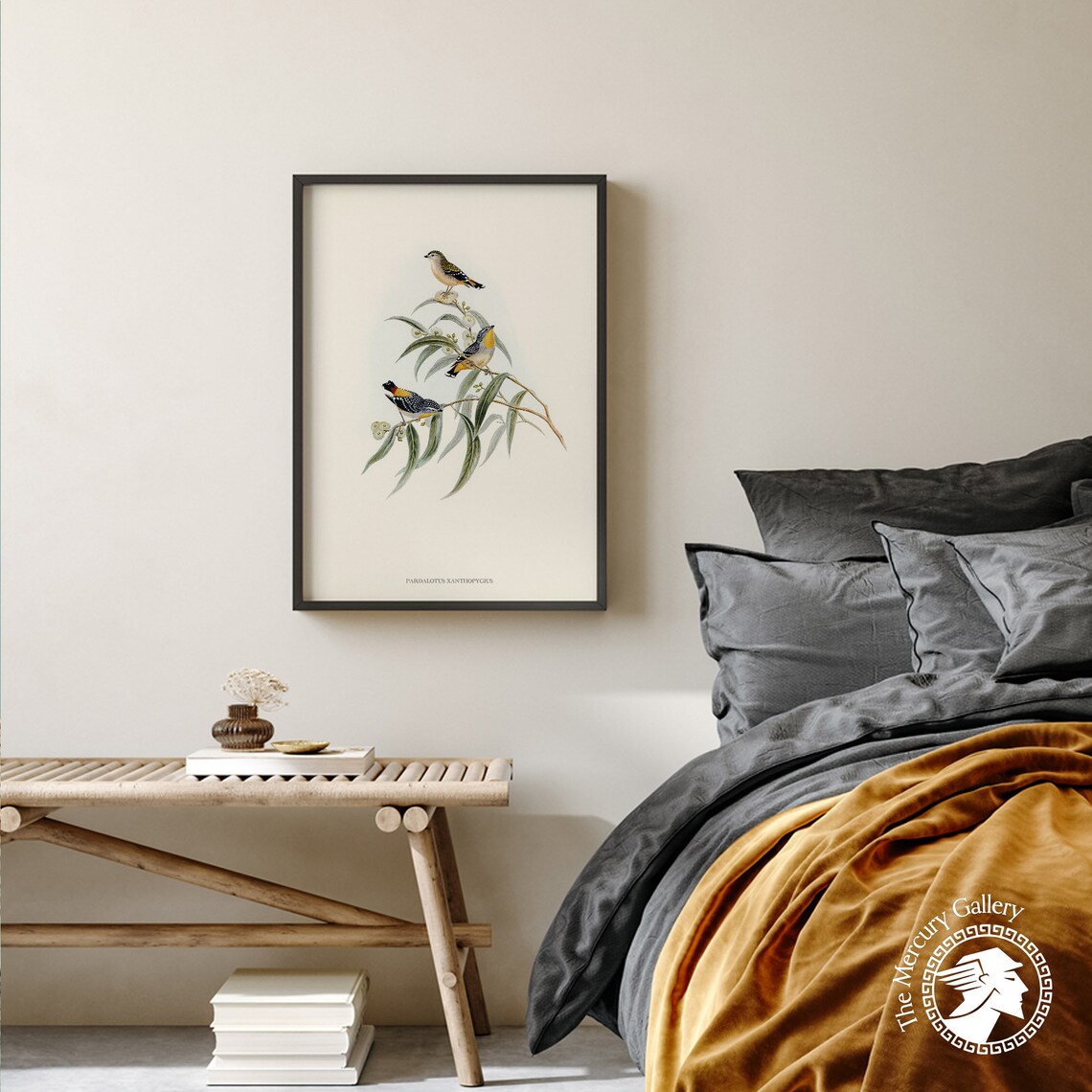 Yellow Rumped Pardalote Vintage Australian Bird Illustration Print - Image 3