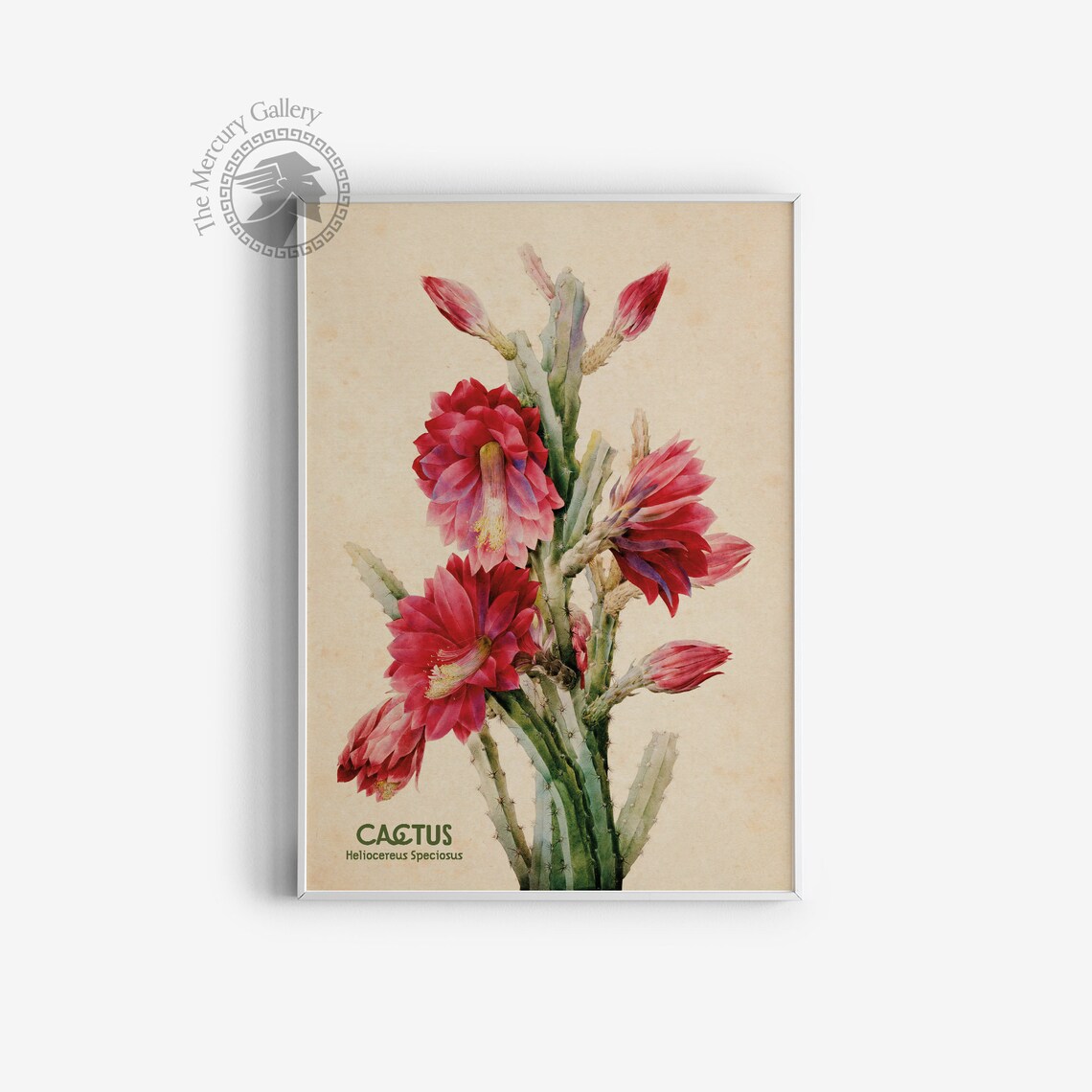 Flowering Desert Cactus Plant Art, Southwestern Decor - Image 3