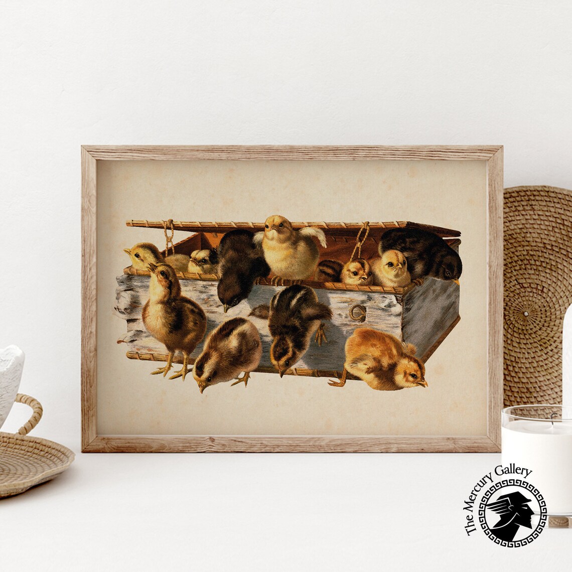 Vintage Baby Chicks In Wicker Basket Antique Farmhouse Art Print