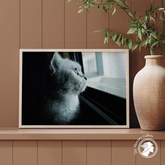 Cat Poster Print, Funny Cat Art Print