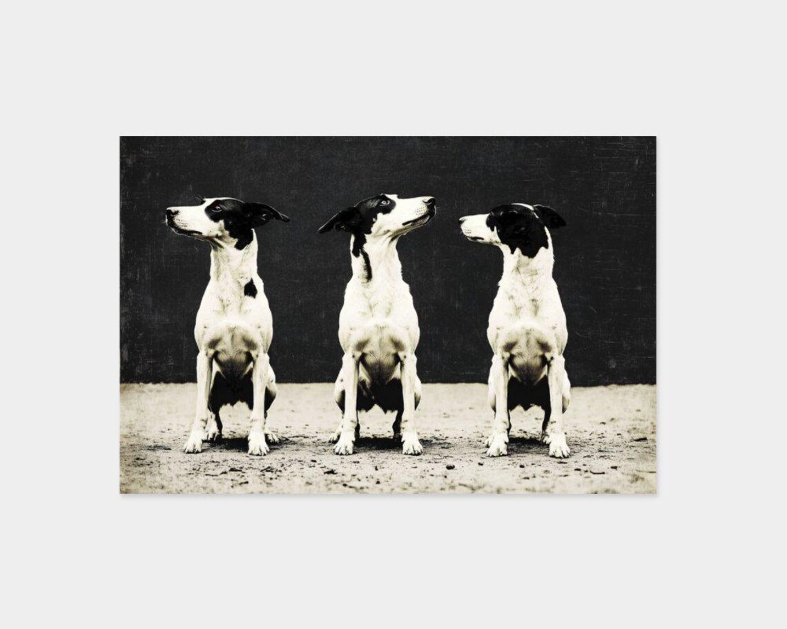 Three Sitting Dogs Vintage Black And White Photo Style Poster - Image 2
