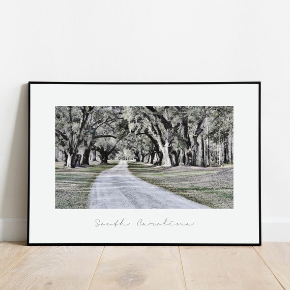 South Carolina Landscape Print Nature Wall Art South Carolina Gifts Rustic Decor Vintage Style Poster Oak Trees Country Road
