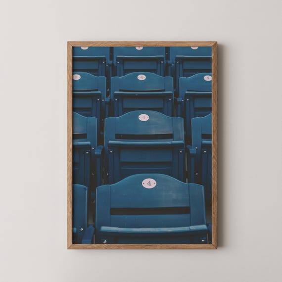 Stadium Seats Masculine Wall Art Sports Print Cubicle Decor Gift