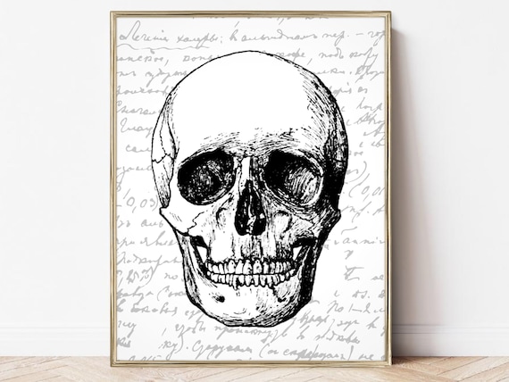 Vintage Skull Anatomy Illustration Gothic Halloween Wall Art