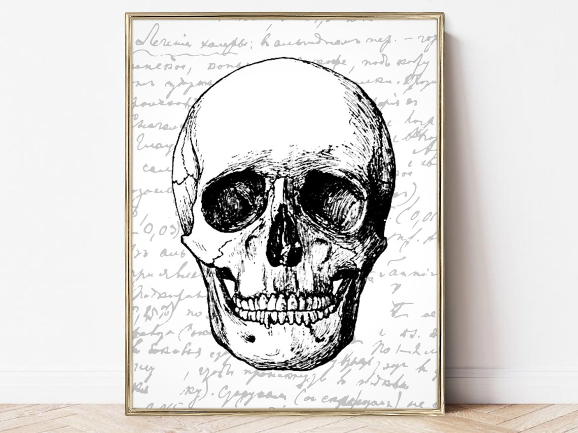 Vintage Skull Anatomy Illustration Gothic Halloween Wall Art