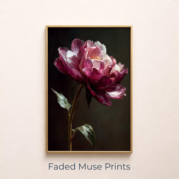 Moody Magenta Peony Bloom Dramatic Dark Botanical Fine Art Print
