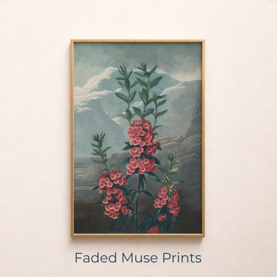 Vintage Foxglove Botanical Illustration, Art Print