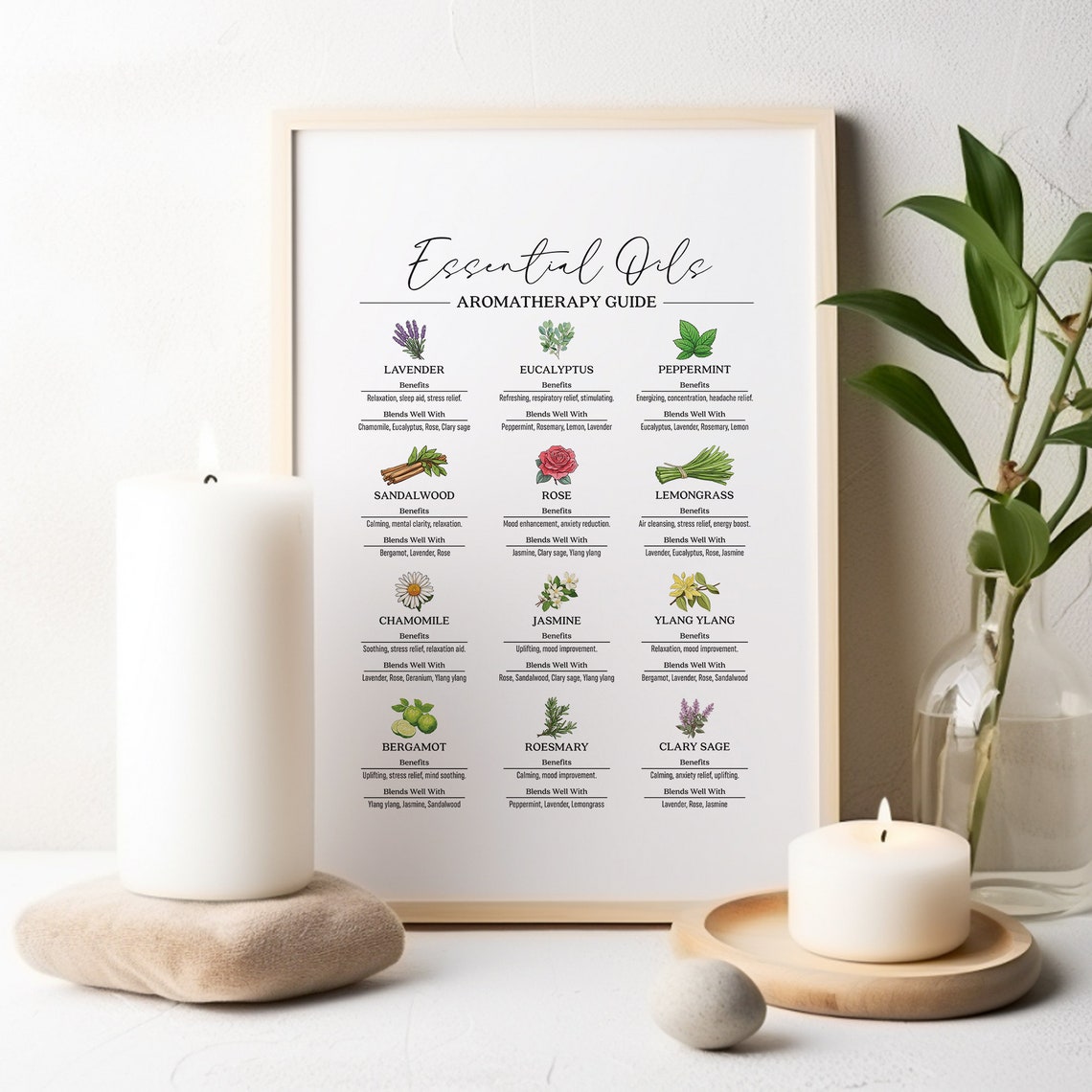 Essential Oils Aromatherapy Guide Botanical Chart Herbal Remedy Poster