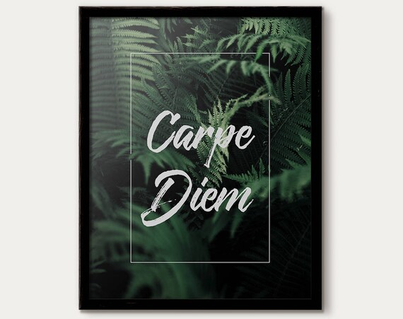 Carpe Diem Fern Botanical Photography Script Typography Poster