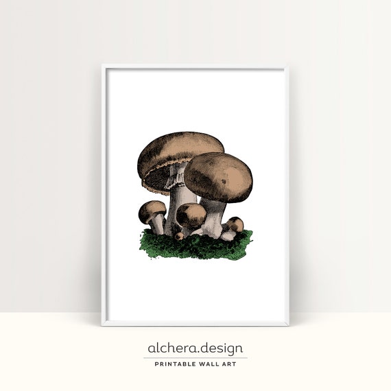 Vintage Mushroom Mushrooms Botanical Art Print
