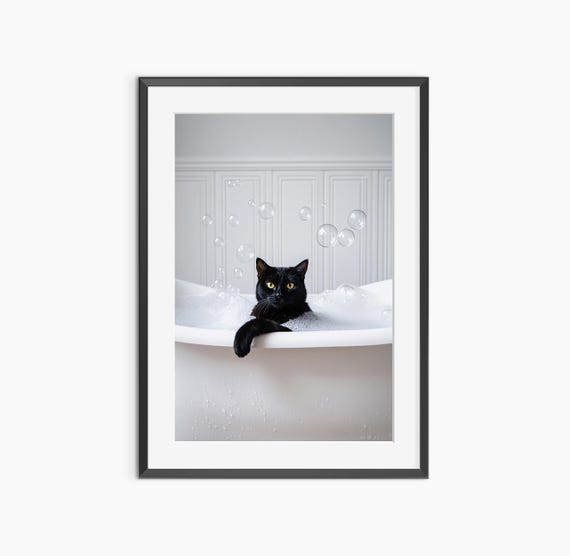 Black Cat Photography Prints Print Poster Wall Art Bathroom Nursery Museum Quality