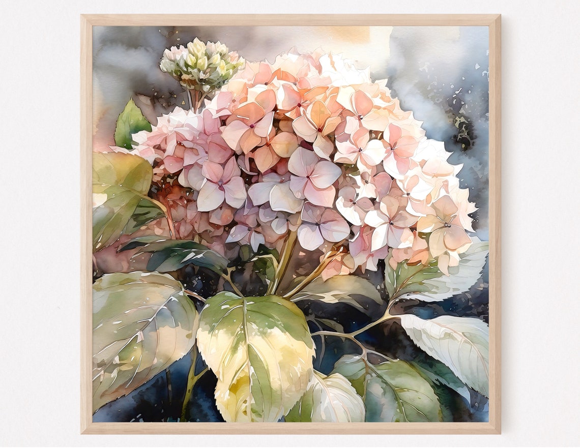 Blush Pink Hydrangea Bloom Watercolor Elegant Floral Art Poster