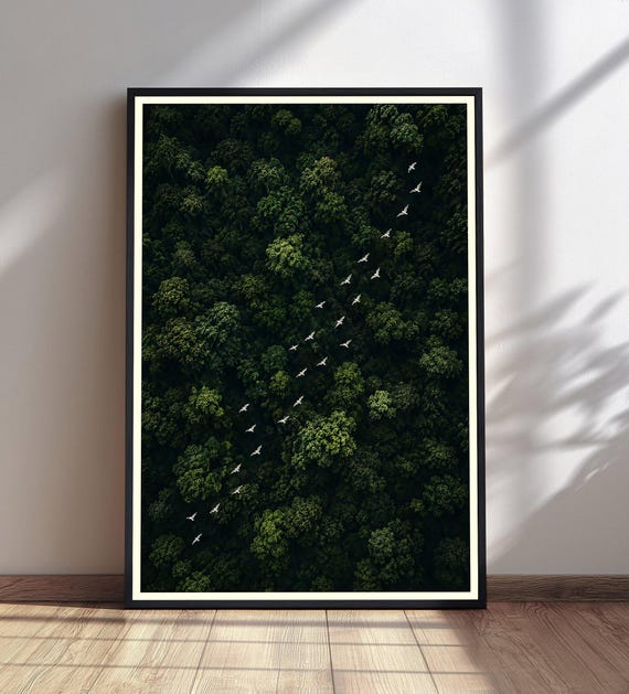 Aerial Forest Wall Art Lush Green Nature Print Flying Birds Decor Landscape Poster