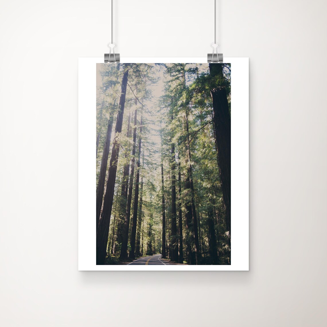Road Through Towering Redwoods Avenue of the Giants Photo Print