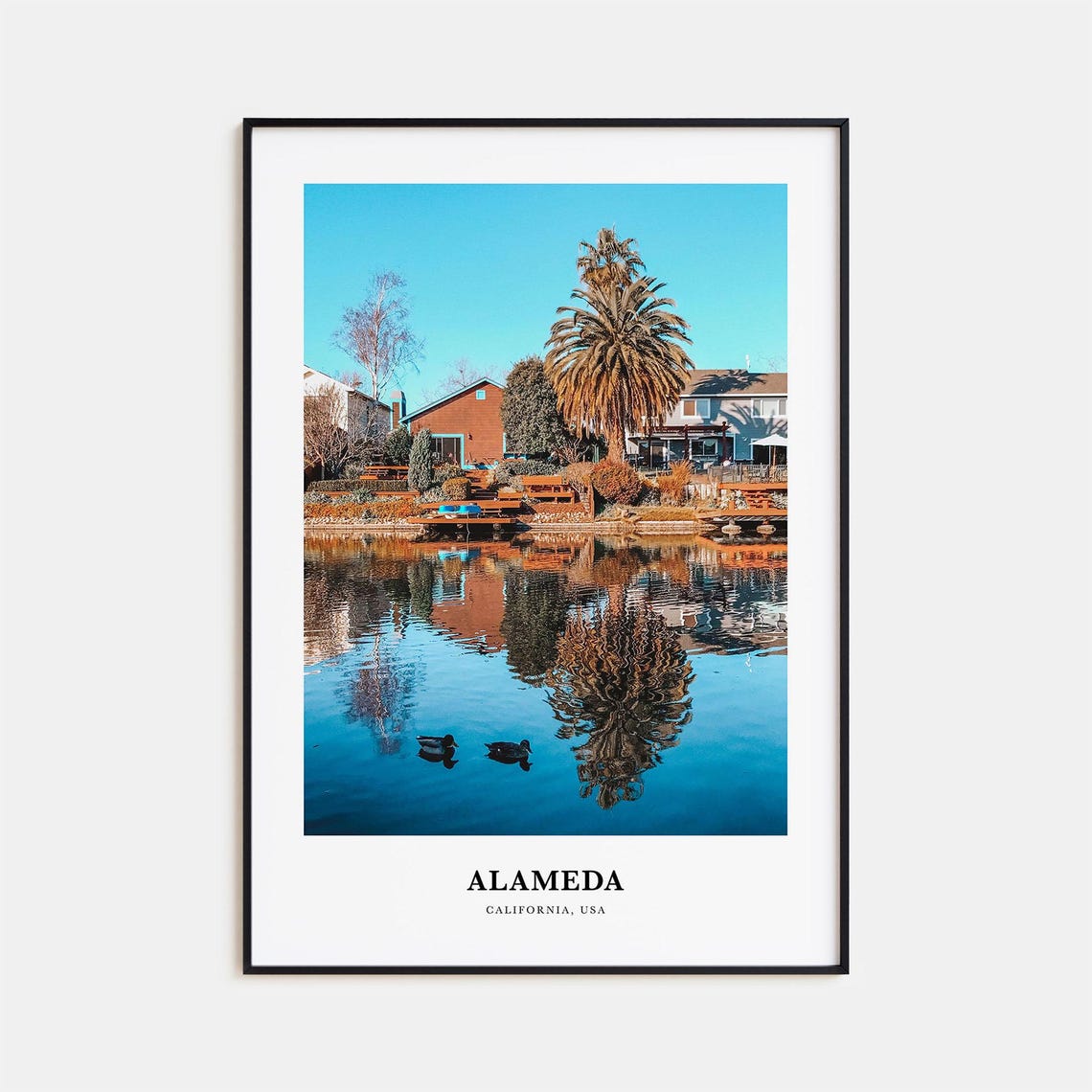 Alameda California Lake Reflection Ducks Palm Photography Poster