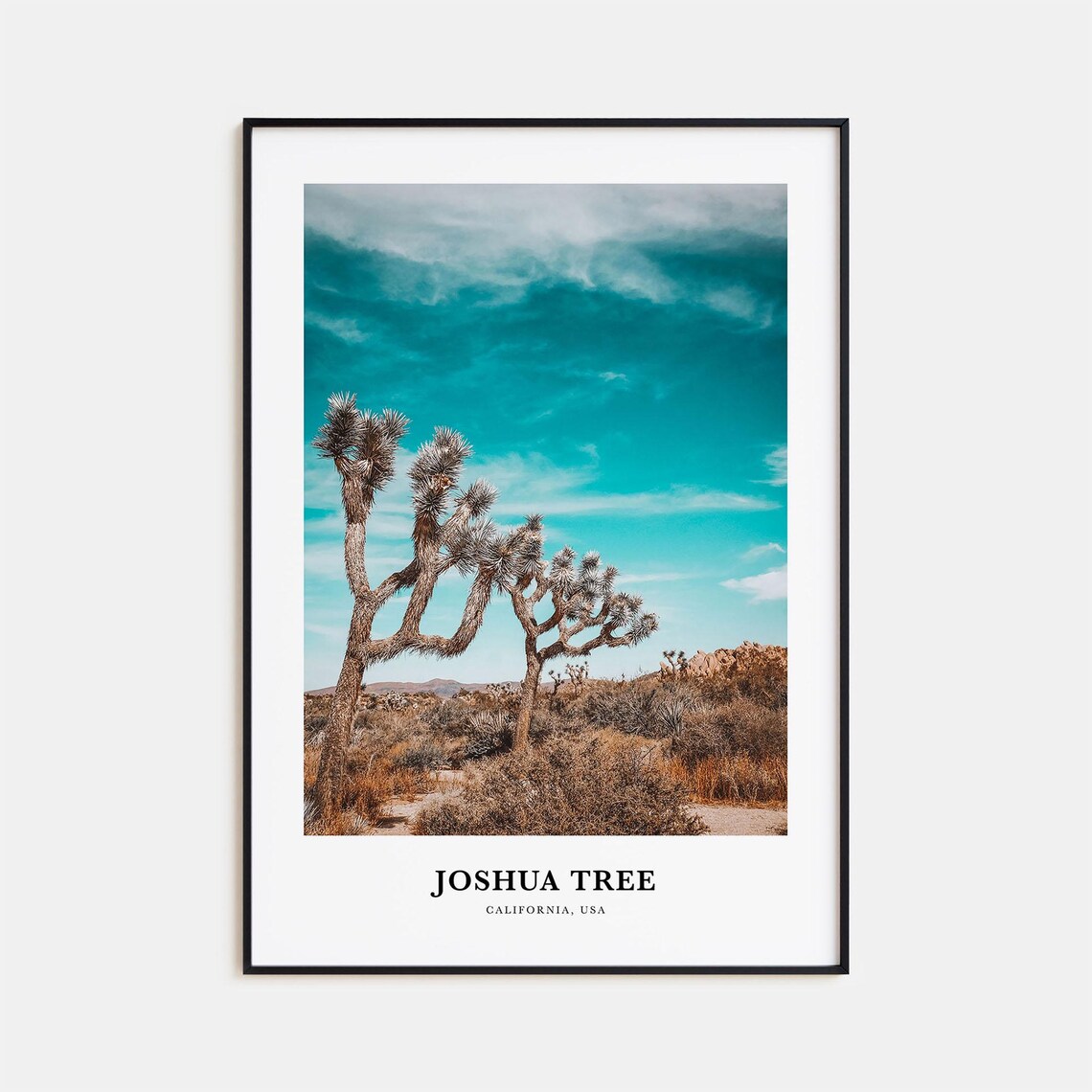 Joshua Tree National Park Travel Poster, California Map