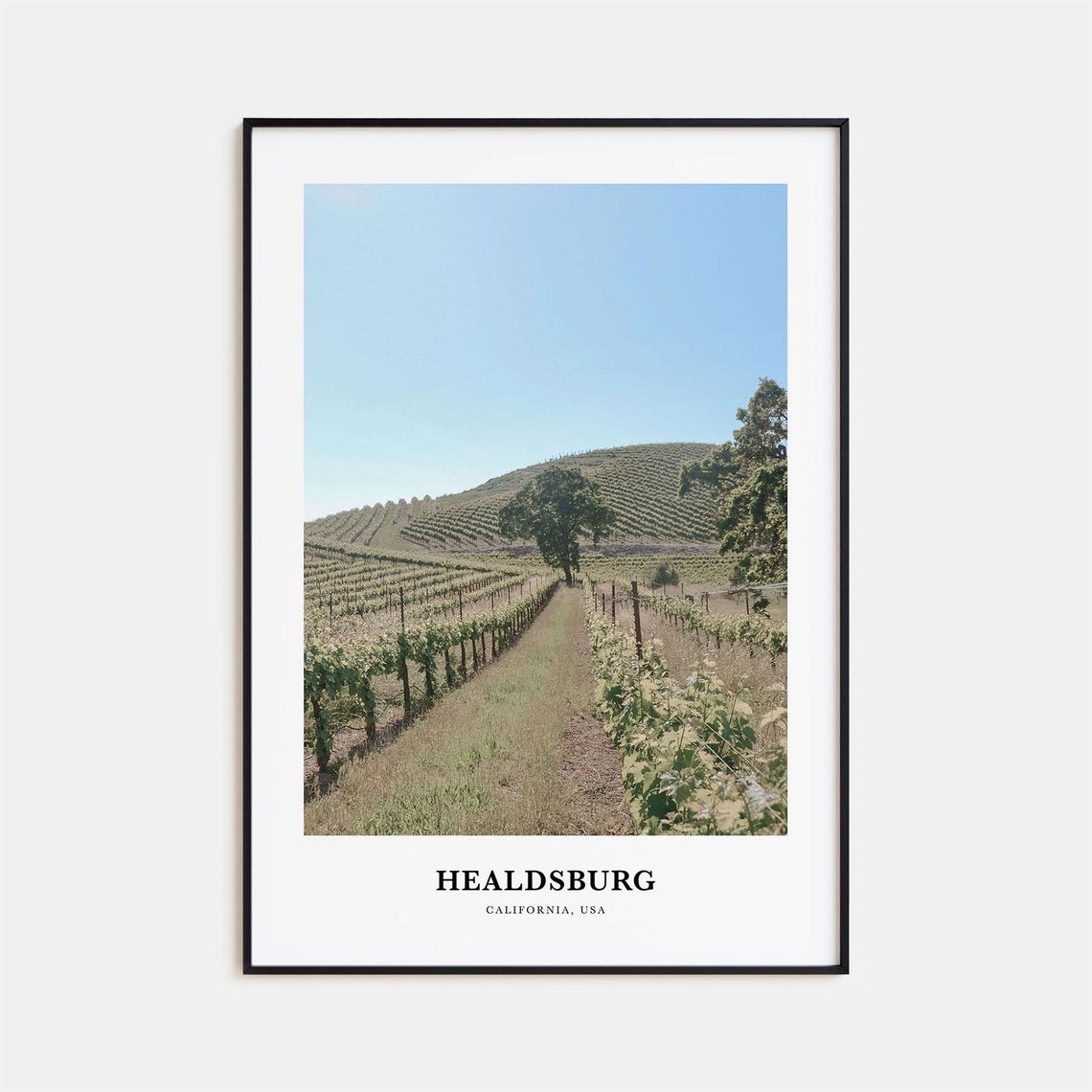Healdsburg California Vineyard Rows Hillside Wine Country Poster