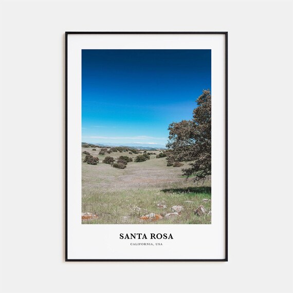 Santa Rosa California Rolling Hills Oak Trees Nature Travel Photo Poster
