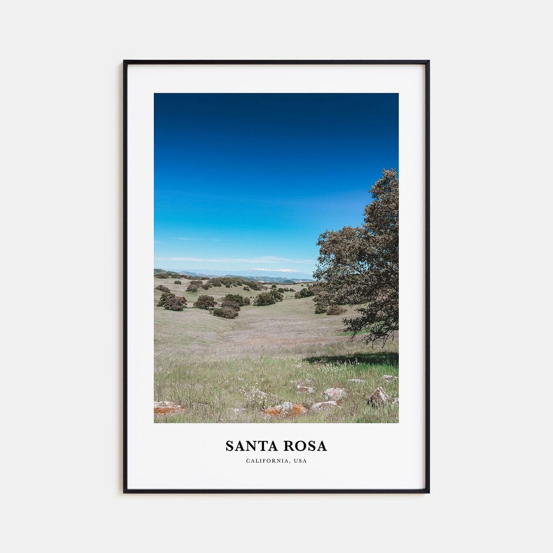 Santa Rosa California Rolling Hills Oak Trees Nature Travel Photo Poster