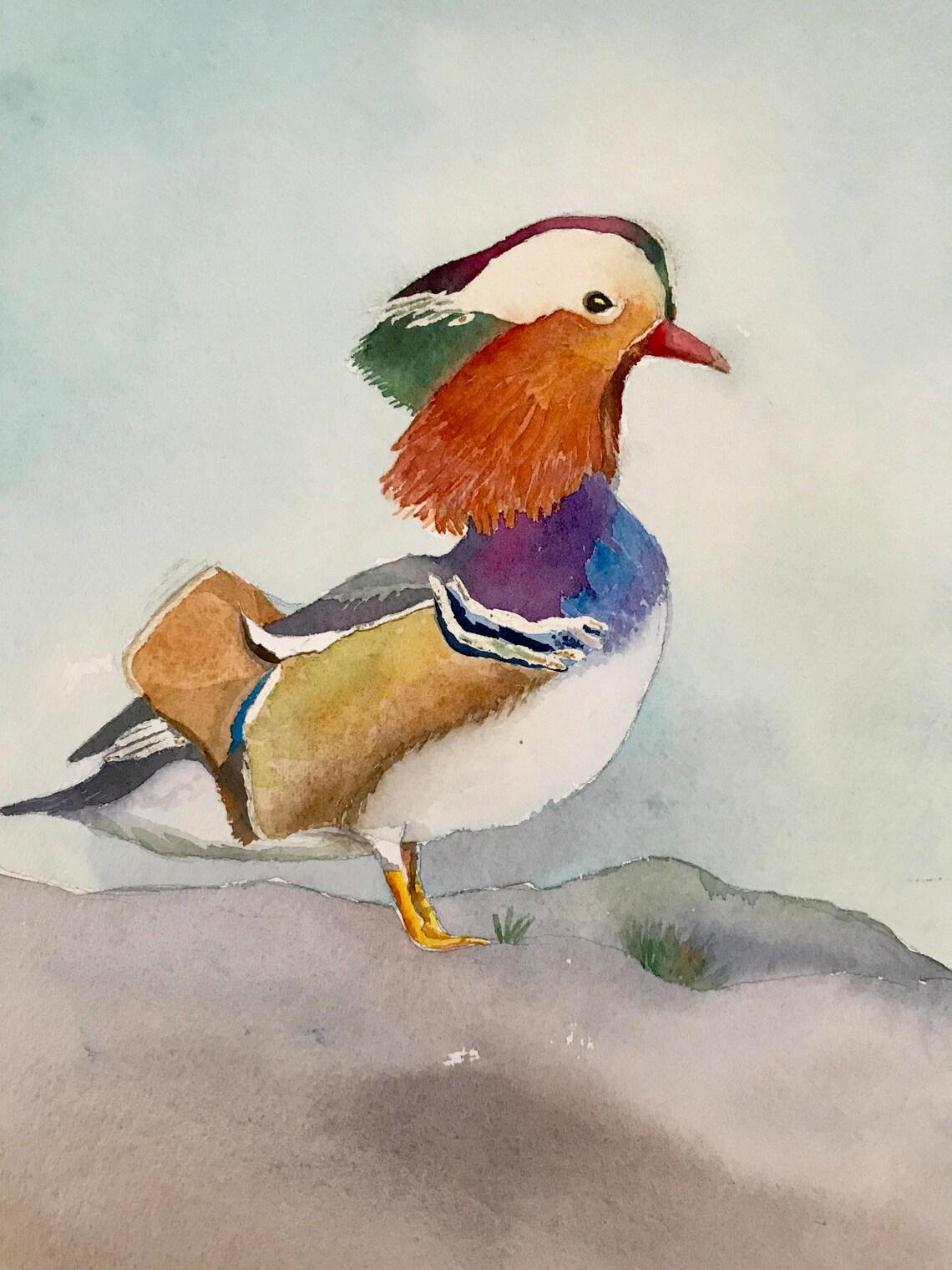 Mandarin Duck Drake Portrait in a Colorful Watercolor Style Poster - Image 3