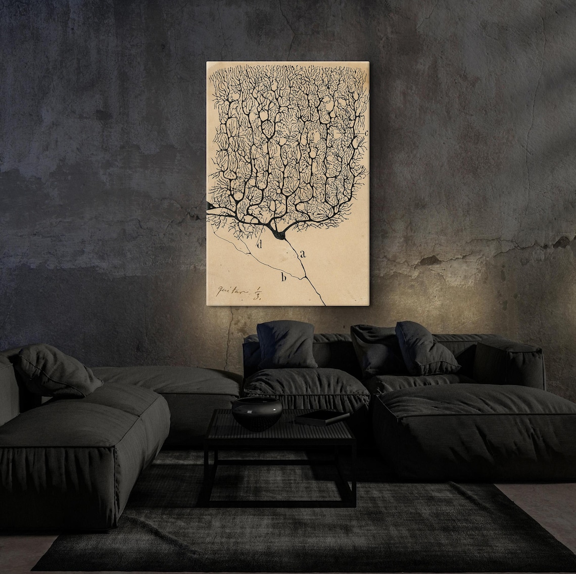 Neurons by Santiago Ramon y Cajal, Vintage Anatomy Print - Image 5