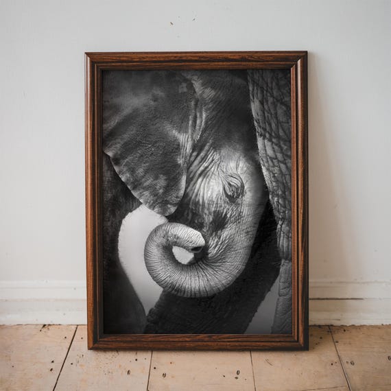 Baby Elephant Photograph Print Animal Lover Home Decor Living Room Bathroom Wall Art Black And White Photo Air Bnb