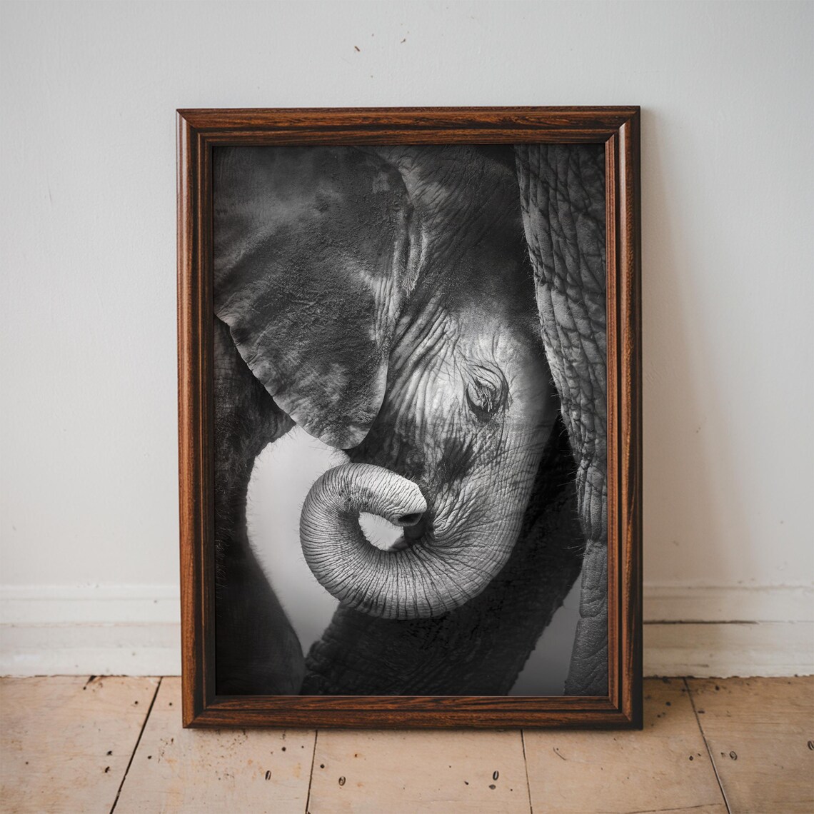 Baby Elephant Black And White Wildlife Photography Portrait Poster