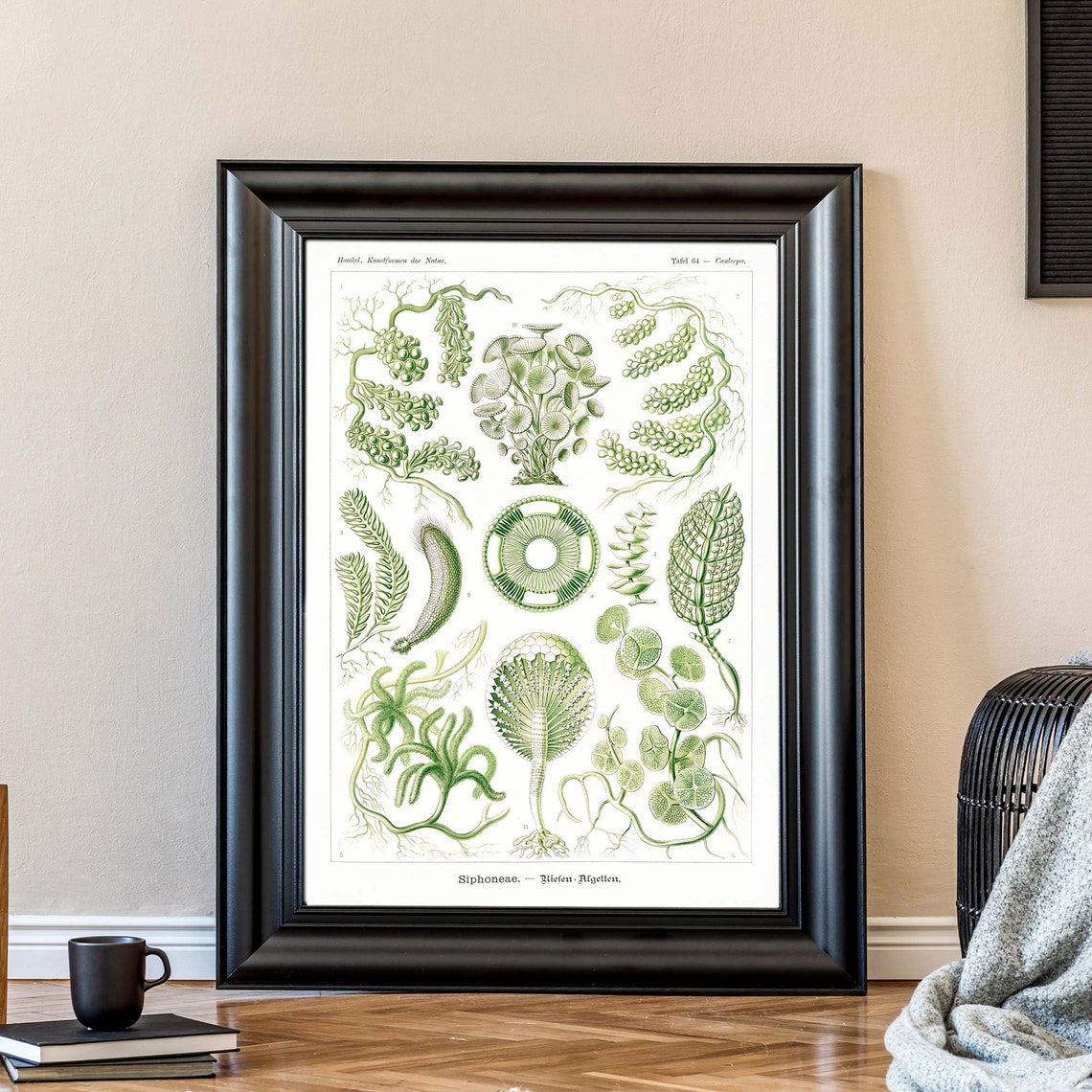 Ernst Haeckel Caulerpa Green Algae Plate 64 Seaweed Art Poster - Image 2