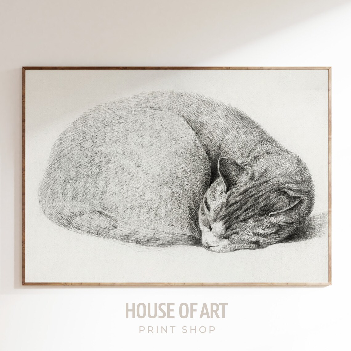 Sleeping Cat Curled Up Pencil Sketch Vintage Feline Art Print