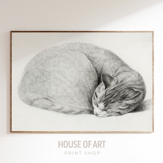 Sleeping Cat Curled Up Pencil Sketch Vintage Feline Art Print