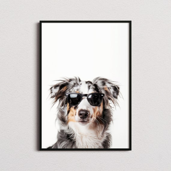 Australian Shepherd In Sunglasses Art Print