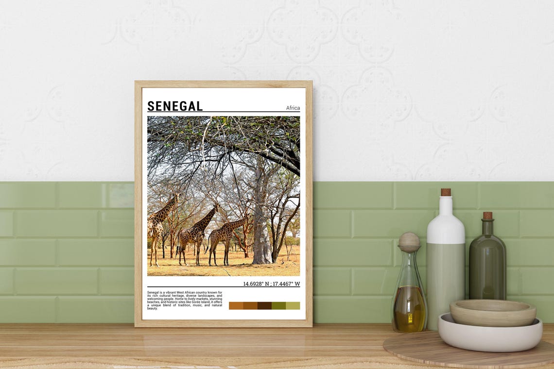 Senegal West Africa Giraffe Herd Savanna Acacia Trees Poster - Image 3