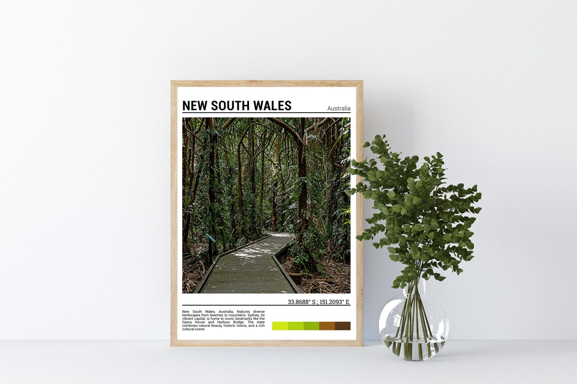 New South Wales Australia Rainforest Boardwalk Trail Photo Poster - Image 4